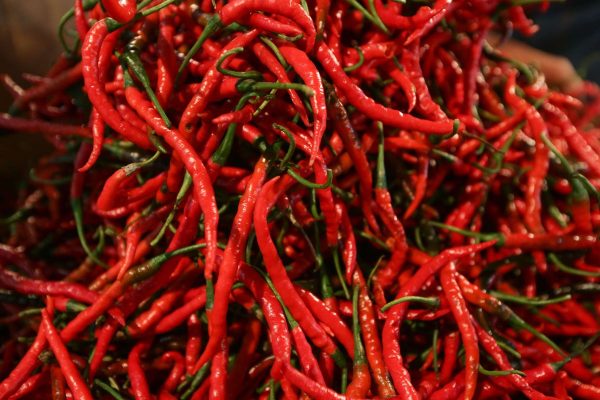 Cabe Merah Keriting