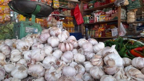 Bawang Putih Premium - Gambar 2