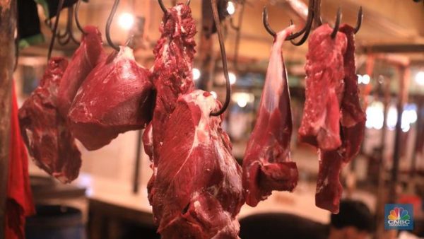 Daging Segar