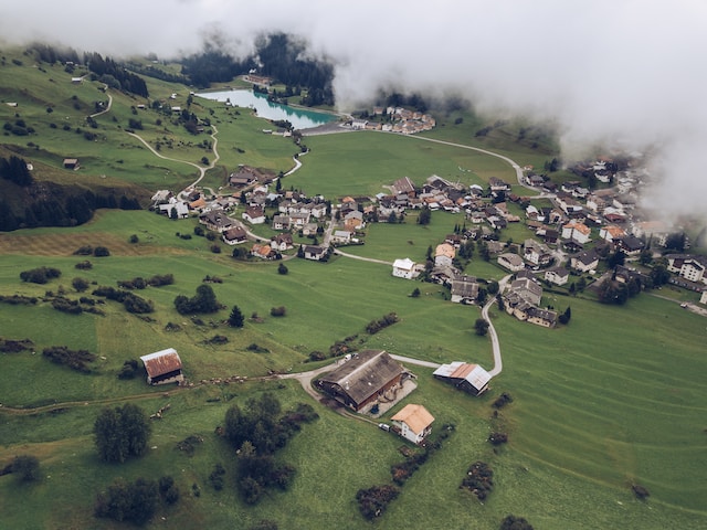 Sektor Pertanian