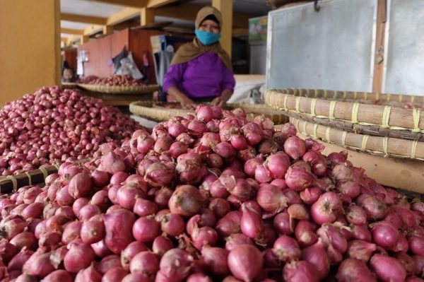 Bawang Merah Besar